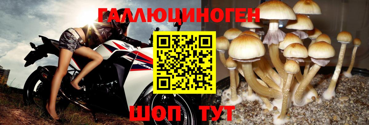 Псилоцибиновые грибы ЛСД  Псилоцибиновые грибы Cubensis  Ликино-Дулёво  Вход с VPN 